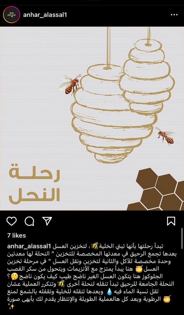مقال ٣